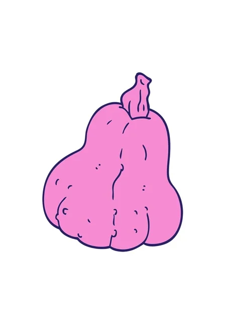 Shaking motion animation of drawing of a squash Vídeos de archivo 324277060