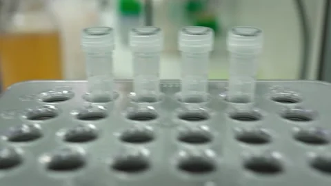 Shaking samples while incubation. High quality 4k footage Stock Footage 263256990
