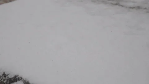 Shaking Snow Off The Boots Stock Footage 122855937