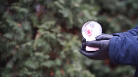 Shaking snow globe Vídeo Stock 98286109
