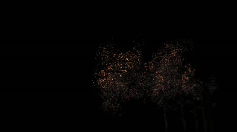 Shaking trees Stock Footage 38286501