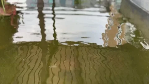 Shaking water surface with floating dirt and light reflections Stock Footage 312856343