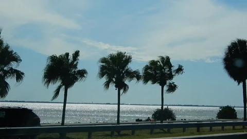 Shaky Camera Driving Over Bridge To Miami With Ocean Water Palm Trees Stock Footage 127146581