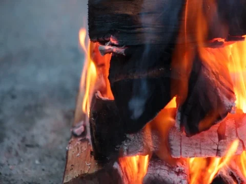 Shaky close up of logs burning on a campfire Stock Footage 71462060