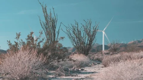 Shaky Handheld Static of Desert Plants with Windmill (Ocotillo Wells, CA) Video stock 102290959