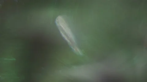 Shaky old-fashioned sci-fi beautiful glittering background. Video stock 164924135