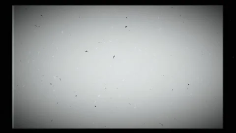 Shaky old film projector effect, black and white animation with dust and dirt Stock Footage 207839467