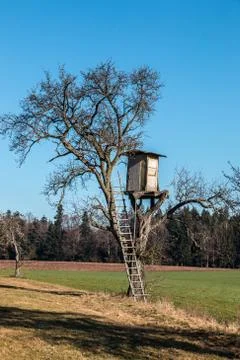 Shaky raised hide up on top of a high tree Stock Photos