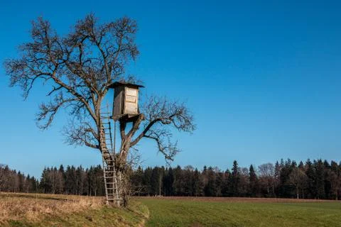 Shaky raised hide up on top of a high tree Stock Photos