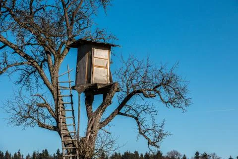 Shaky raised hide up on top of a high tree Stock Photos