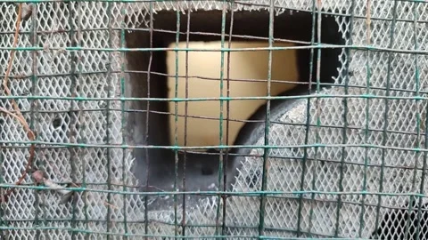 Shaky View of Peeking Through Damaged Security Mesh of Air Duct Vídeos de archivo 334742832