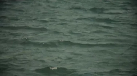 Shaky Water FX Stock Footage 46312462