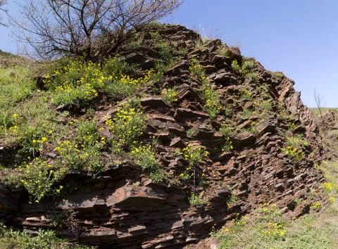 Shale rock Stock Photos
