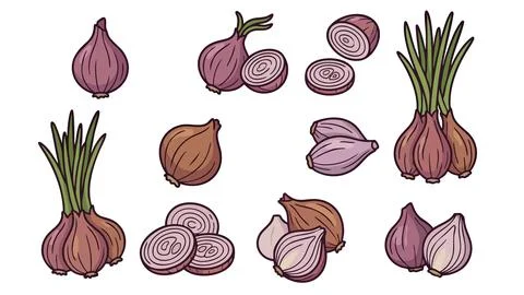 Shallot Icons Vector Set Stock Illustration