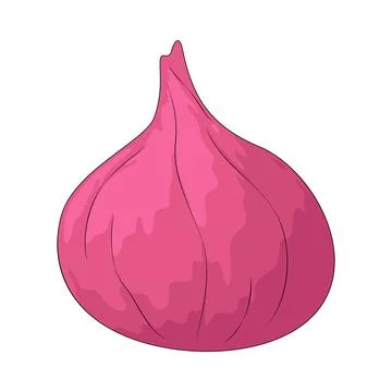 Shallot illustration Ilustración de archivo