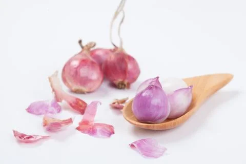 Shallot isolated on white background. Stock Photos