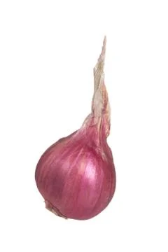 A shallot isolated on white background. Stock Photos
