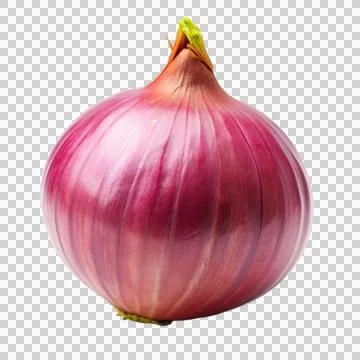 Shallot-isolated-on-white-background Stock Photos