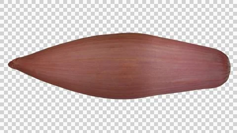 Shallot onion Stock Photos