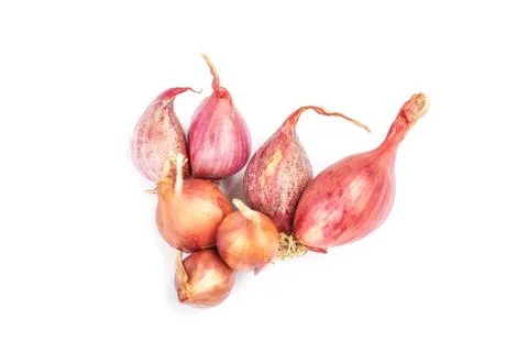 Shallot onions Stock Photos