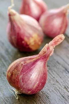 Shallot onions Stock Photos