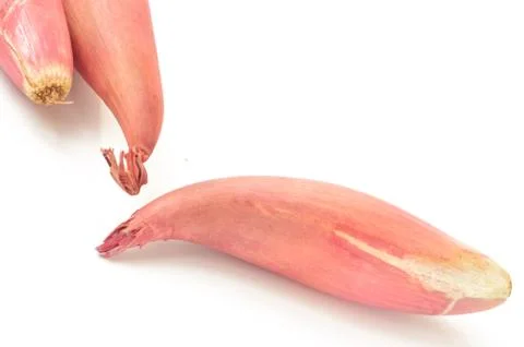 Shallot onions on a white background Stock Photos