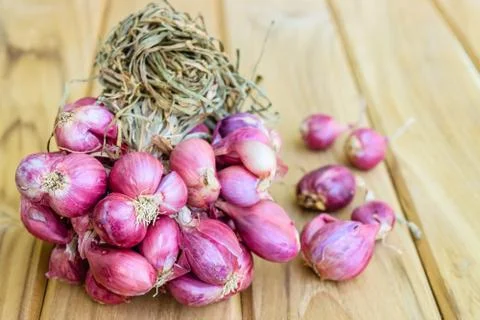Shallot Stock Photos