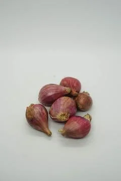 Shallot Stock Photos