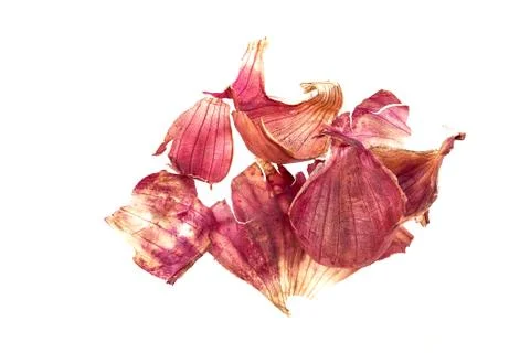 Shallot 's shell on white Foto stock