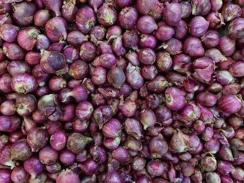 Shallots Background Stock Photos