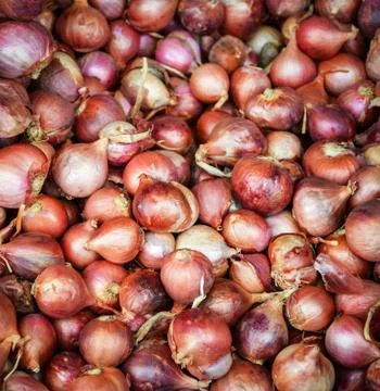 Shallots background texture , herb vegetable ingredient shallot onion Foto stock