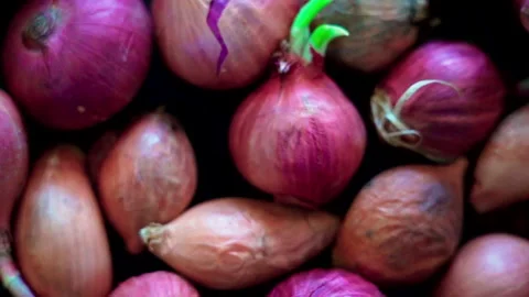 Shallots close up Video stock 156167131