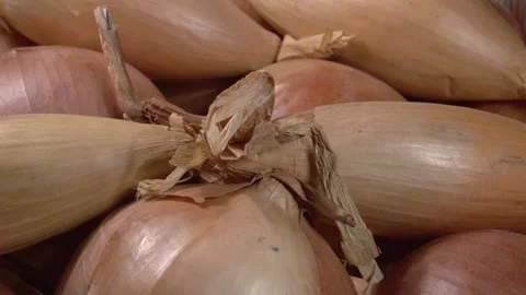 Shallots close up. Lots of bulbs. Stock Footage 143782571