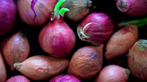 Shallots close up pan shot right to left Vídeos de archivo 156167085