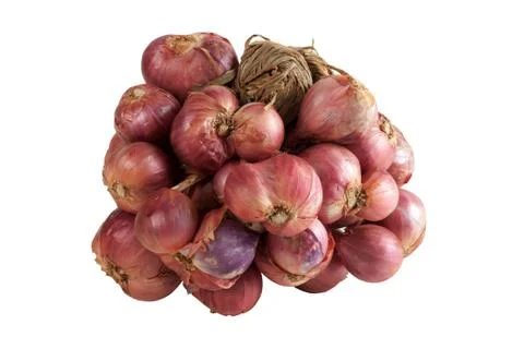 Shallots growing Isolated Foto stock