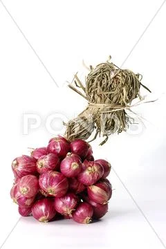 Shallots isolated Stock Photos