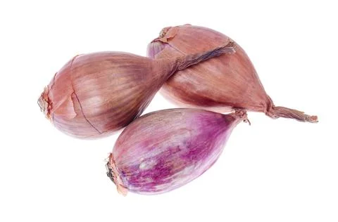 Shallots isolated on white background. Studio Photo. Stock Photos