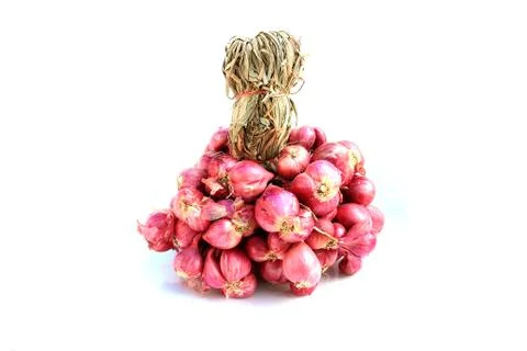 Shallots on isolated white Stock Photos