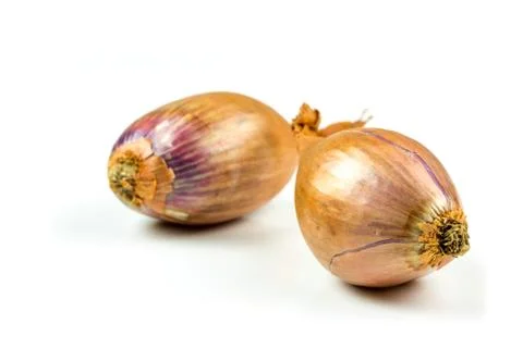 Shallots onion on a white background Stock Photos