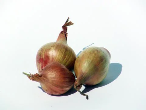 Shallots Foto stock