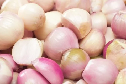 Shallots Stock Photos