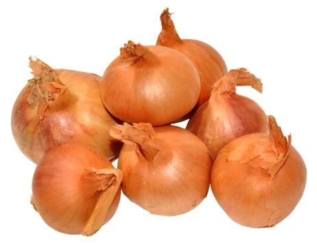 Shallots Stock Photos