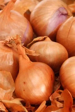 Shallots Stock Photos
