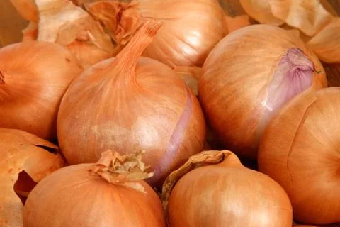 Shallots Stock Photos