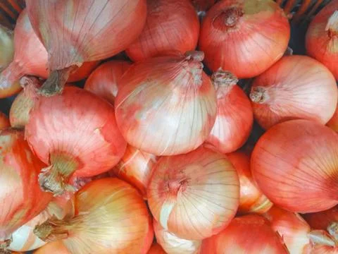 Shallots Stock Photos
