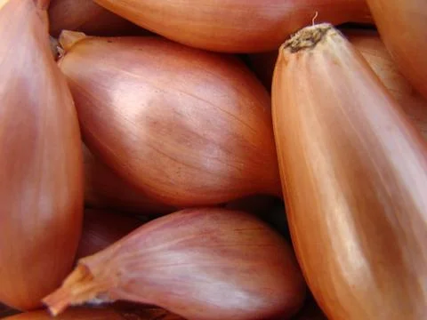 Shallots Foto stock