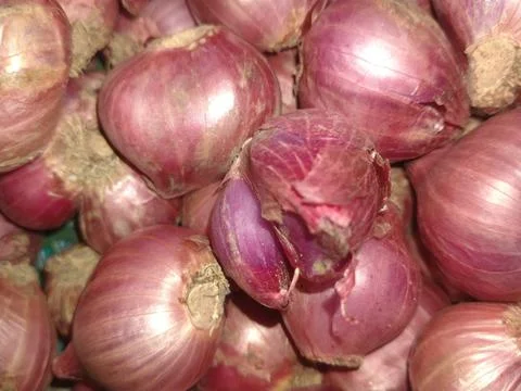 Shallots Stock Photos