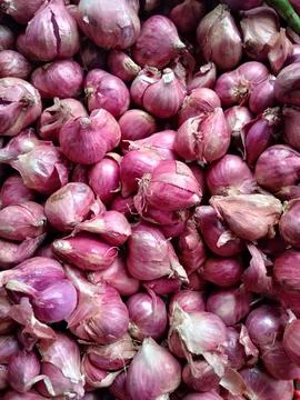 Shallots Stock Photos
