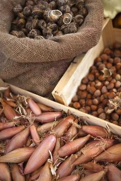 Shallots, snails and nuts Stock Photos