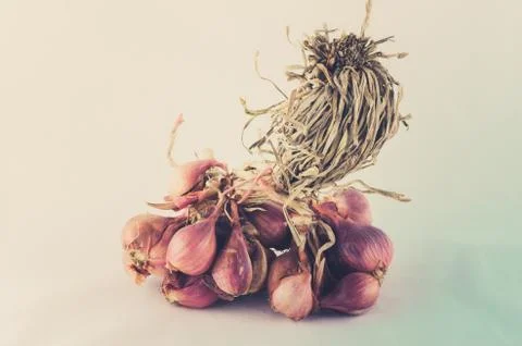 Shallots in white background Stock Photos